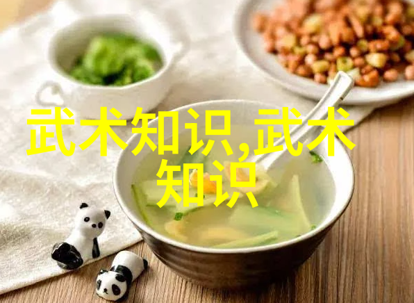陈式太极拳技击之古代武功秘籍口诀张杰 刘淑君在自然之中演绎声东击西的艺术