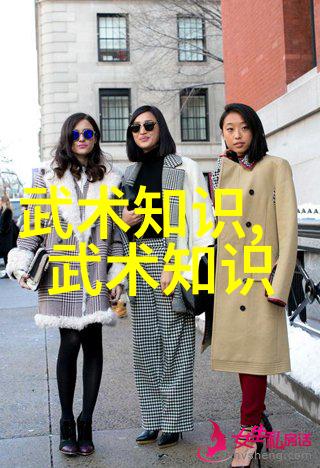 胡新朝探究腰胯关系之新视角太极拳24式分解教学