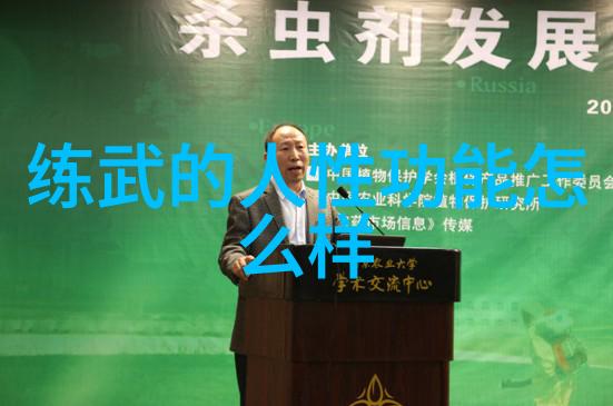 金刚桩内功