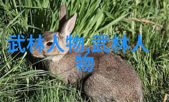 拳影初动武术之路的谜局