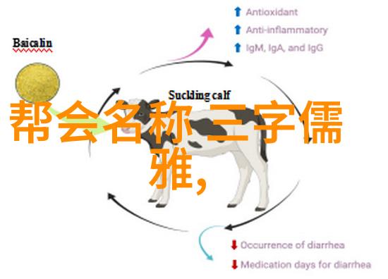 邱慧芳教你24式太极拳全套动作掌握传统太极武术的精髓