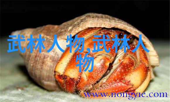家有武者从菜鸟到打虎英雄的8个简单步骤