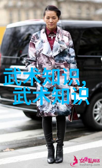 武术之巅揭秘世界上最狠的拳法中华内功与街头格斗技巧对决
