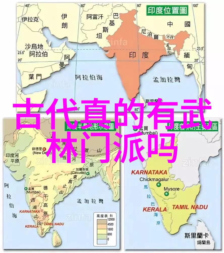 中华武林秘籍各门派的传统武功