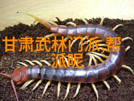 小兔子被大蟒蛇做哭我的心都碎了