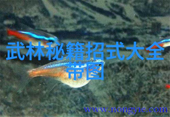 中华武学宝库十大内功外化的精华