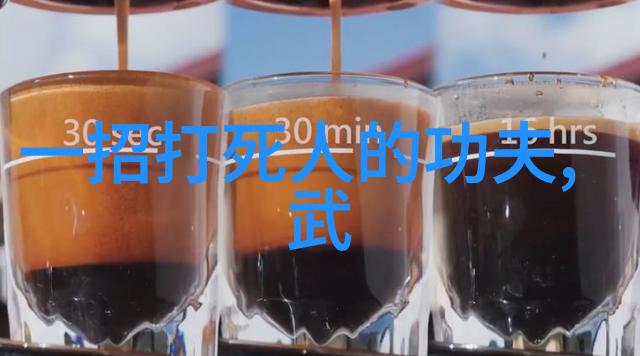 功夫怎么练-实战技巧与心法的探索
