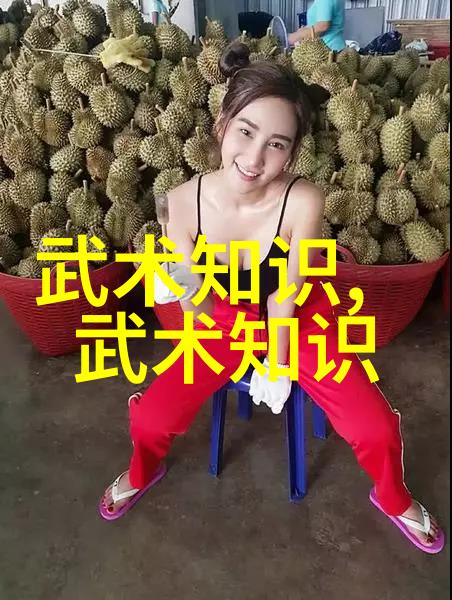 小说武林门派名字大全 - 武林千秋揭秘古籍中的门派之名