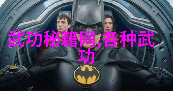 中国武功秘籍大全书古代内功法外门武学拳脚技巧招式解析