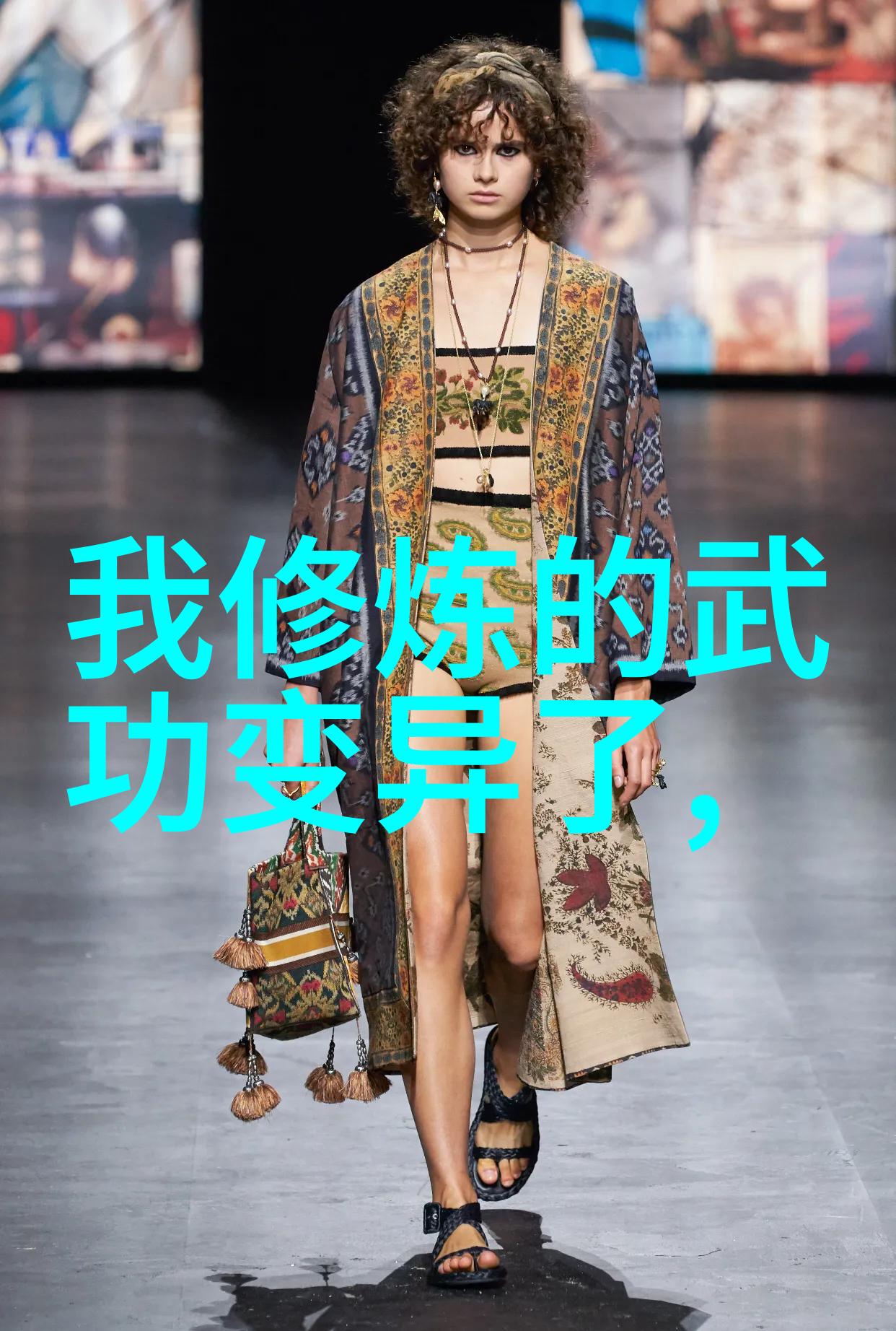 中国太极拳武功自学教学视频中的翅膀比喻叶式史