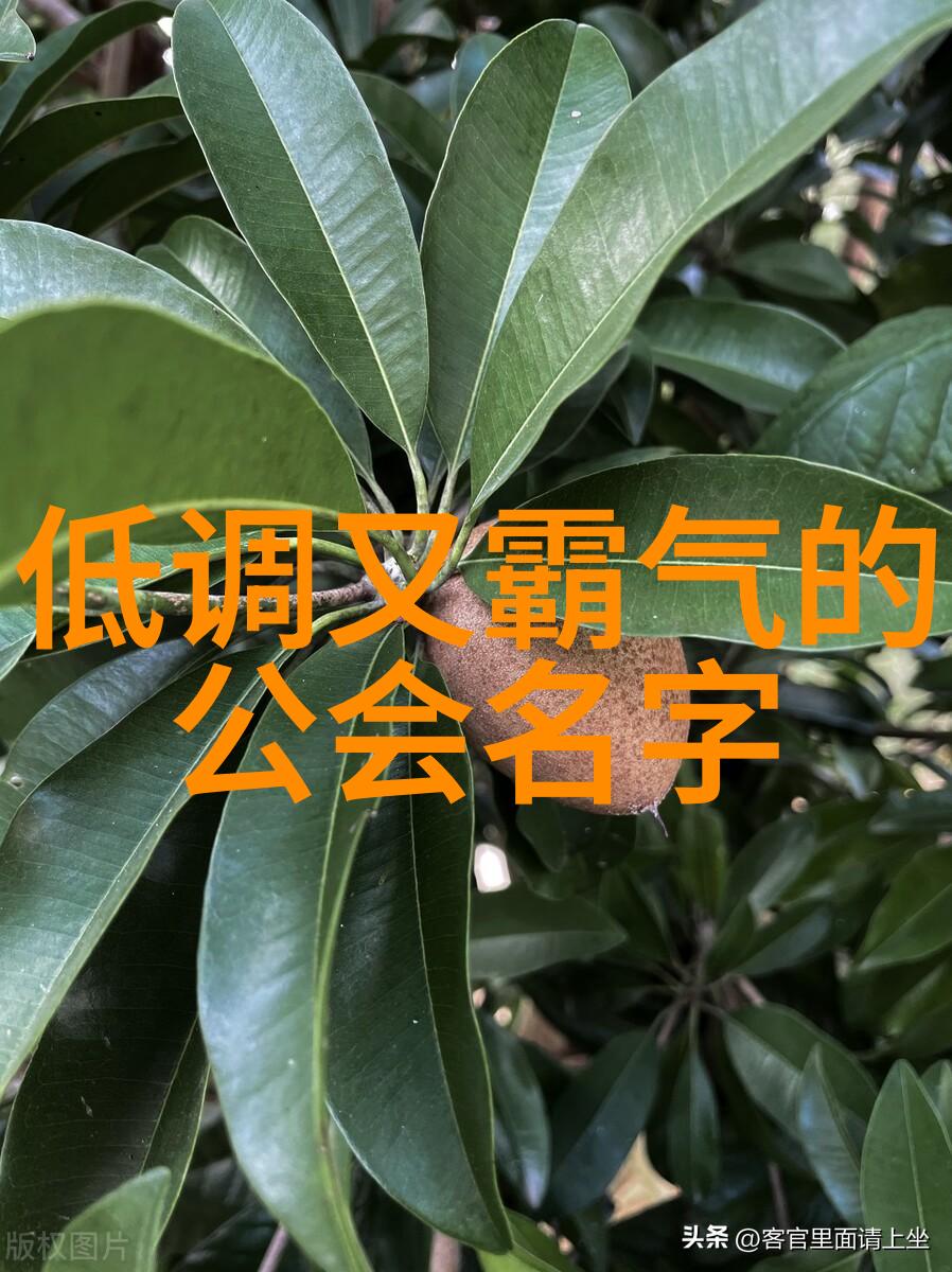 太极拳入门拳法之叶式史反复探索桩法奥秘