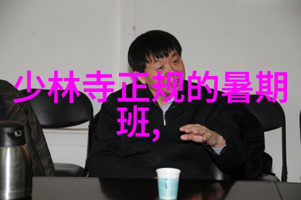 武术禁令背后的原因与影响探究