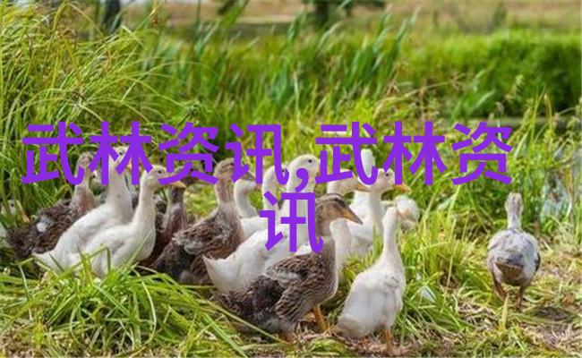 中国武功秘籍的大全书-隐世传承揭秘中国武功秘籍的古老智慧