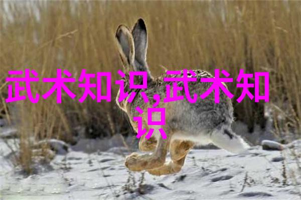 太极之韵步履轻盈的内在舞