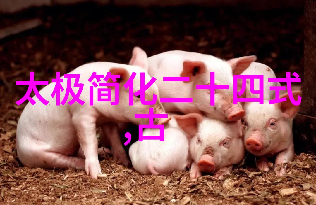 太极拳武术活动名称大全中的内在修养探秘
