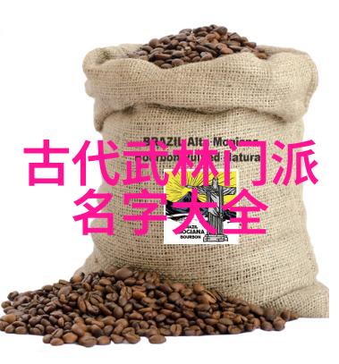 武功门派探秘人物练习傅式形意内家拳