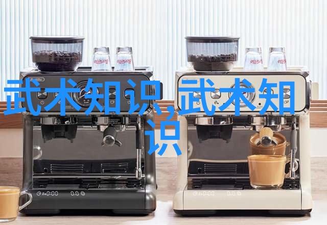 少林武术中的精妙绝技少林拳法的深度探究