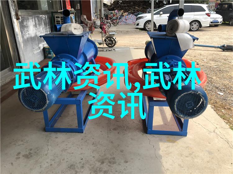 新疆72式迷踪艺横练功夫排名