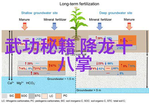 中国拳法古韵中的激情与现代的精准