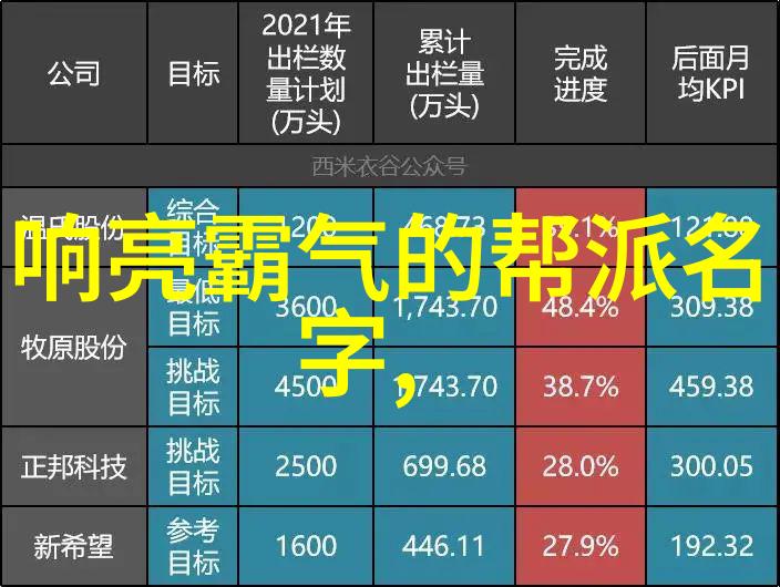太极之韵24式拳法的悠然舞步