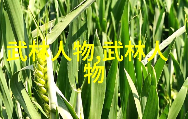 武学自修探索适合自学的武术路径