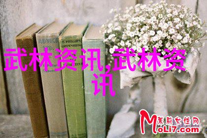 武林拳艺佛汉拳门派之美