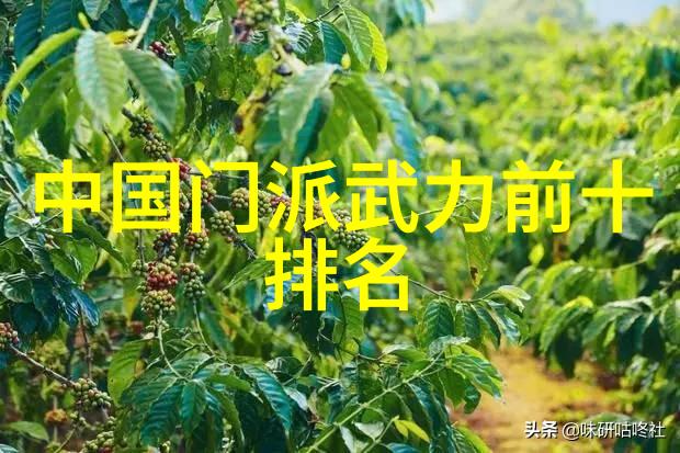 空手道与真功夫空手道的起源与对比分析