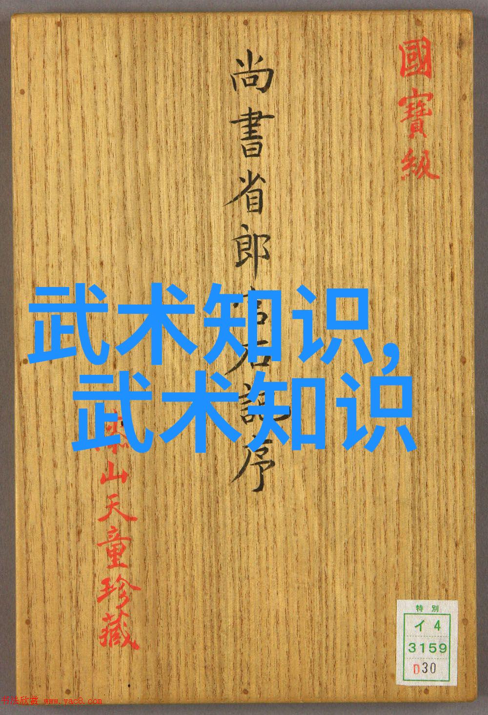 对于年轻人来说选择学习哪种湖南武术更具发展前景