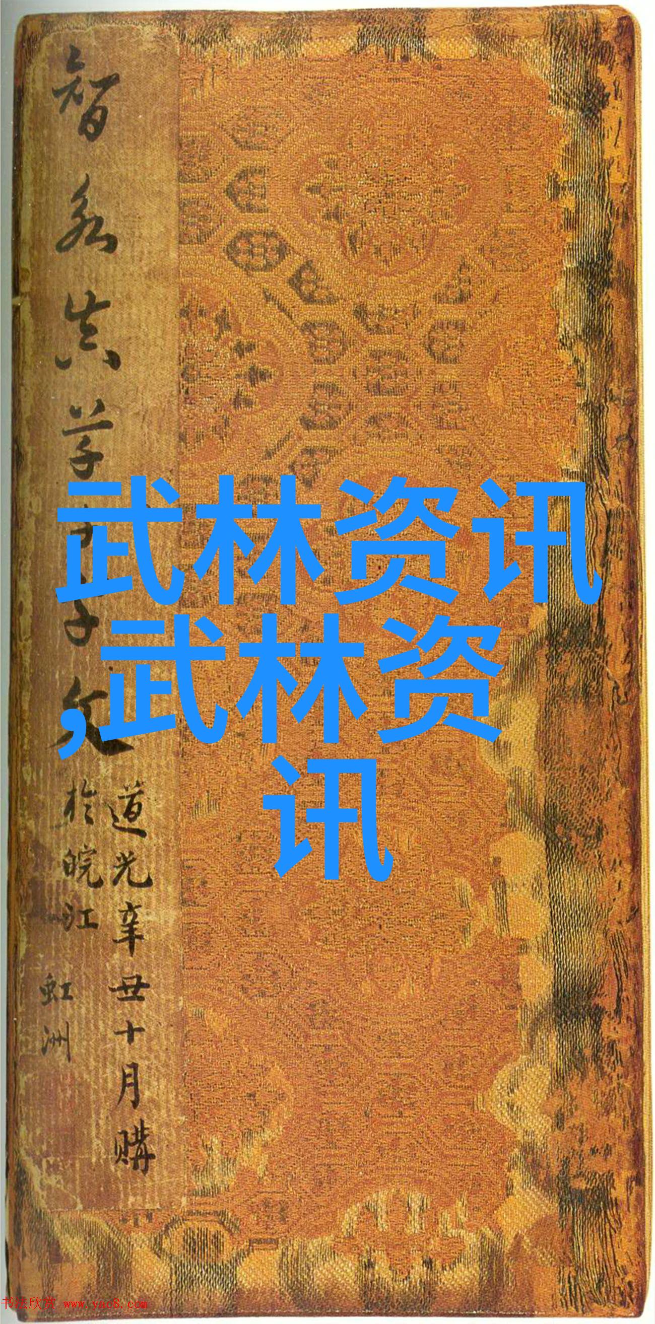 中国最强大门派之叶式太极拳震撼世界