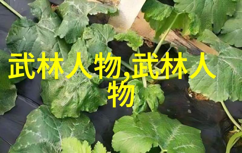 古韵幽梦诗心帮派