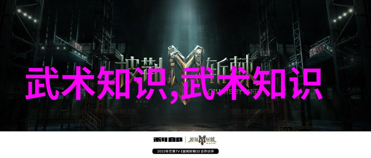 沉默的拳头中国最著名武术流派背后的秘密