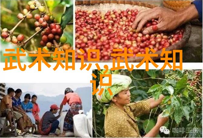数据驱动解读简易24式太极拳中的偏沉则随双重滞原理 - 杨志英