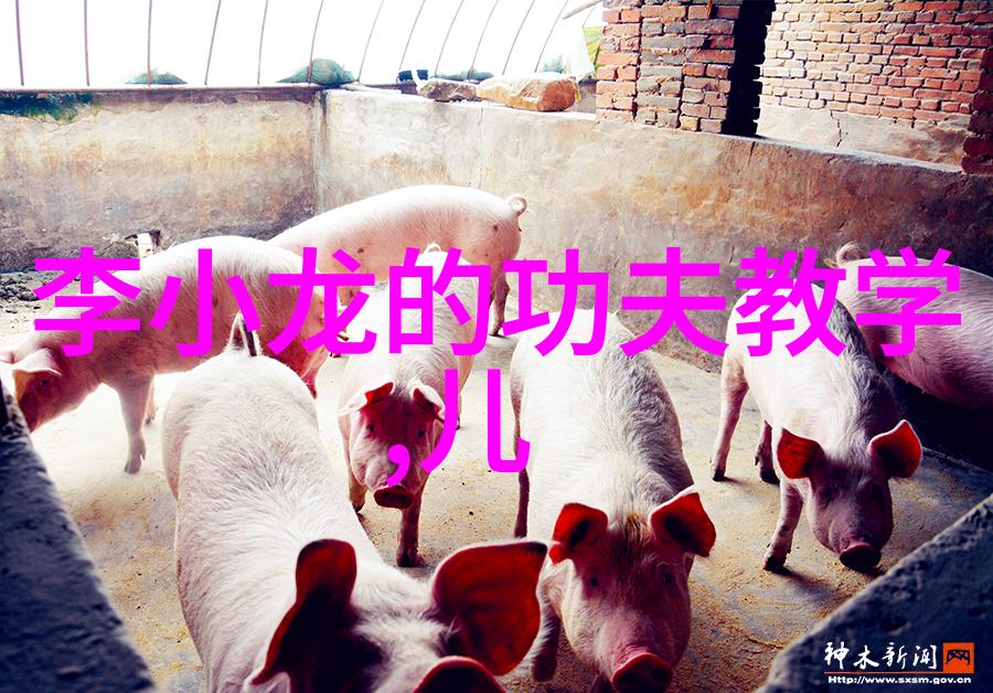 武林绝学精华集江湖中流传的秘籍与技巧