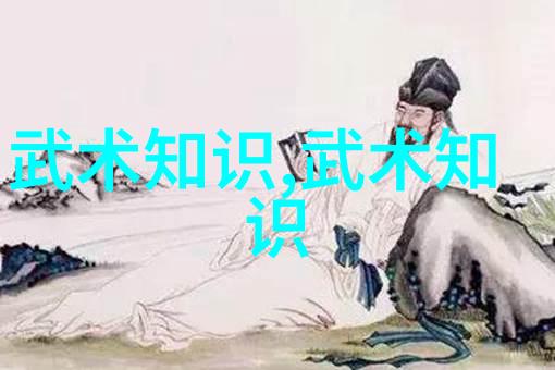 太极24式正面背面-探索太极24式的双重魅力从正面到背面的实战技巧