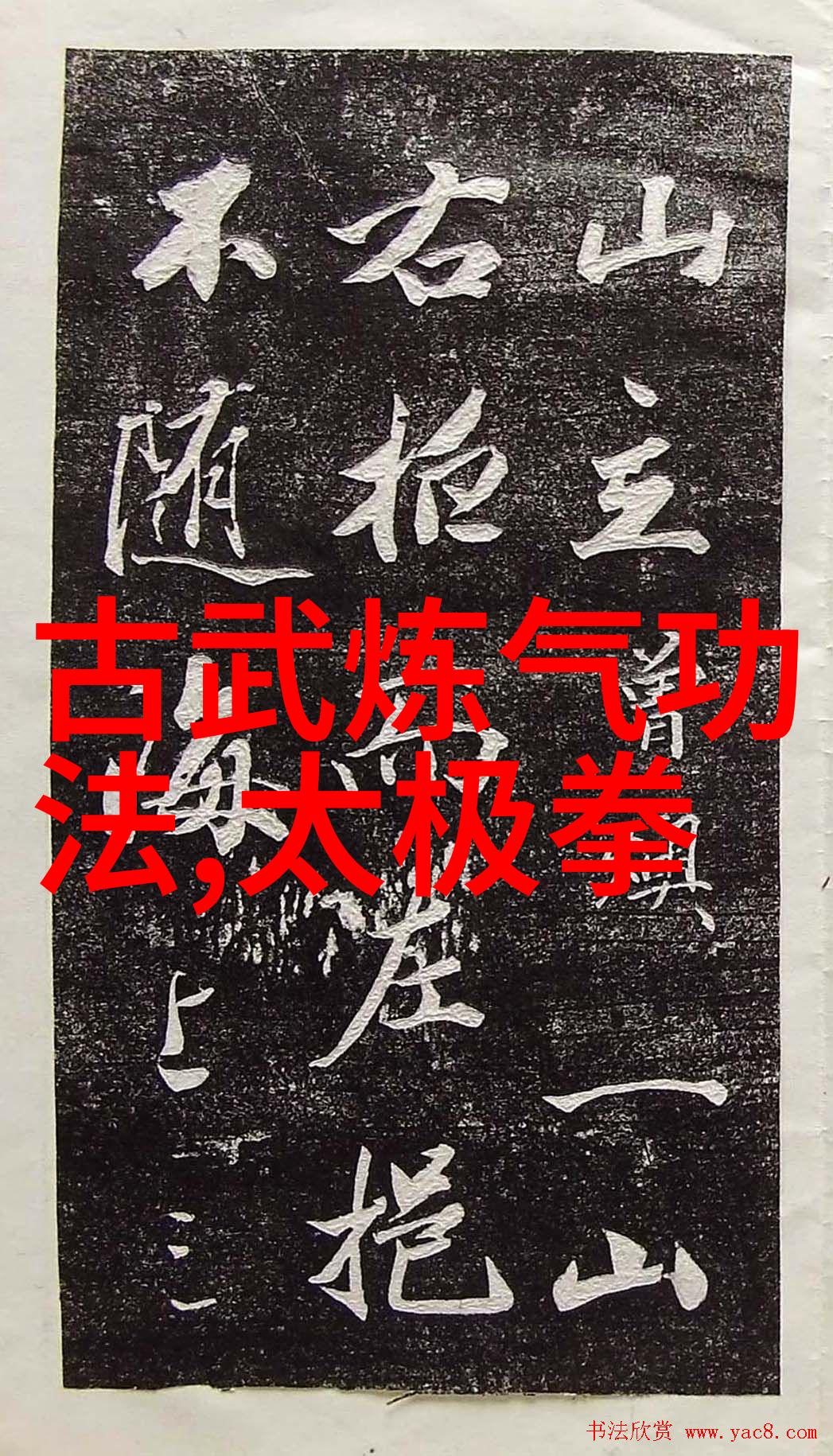 男人眼中的女人武功好女性在男性心目中的武功魅力