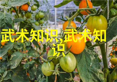 摩托车相撞危机弗鲁姆在自行车棚的黄金路上险些失去领先位置
