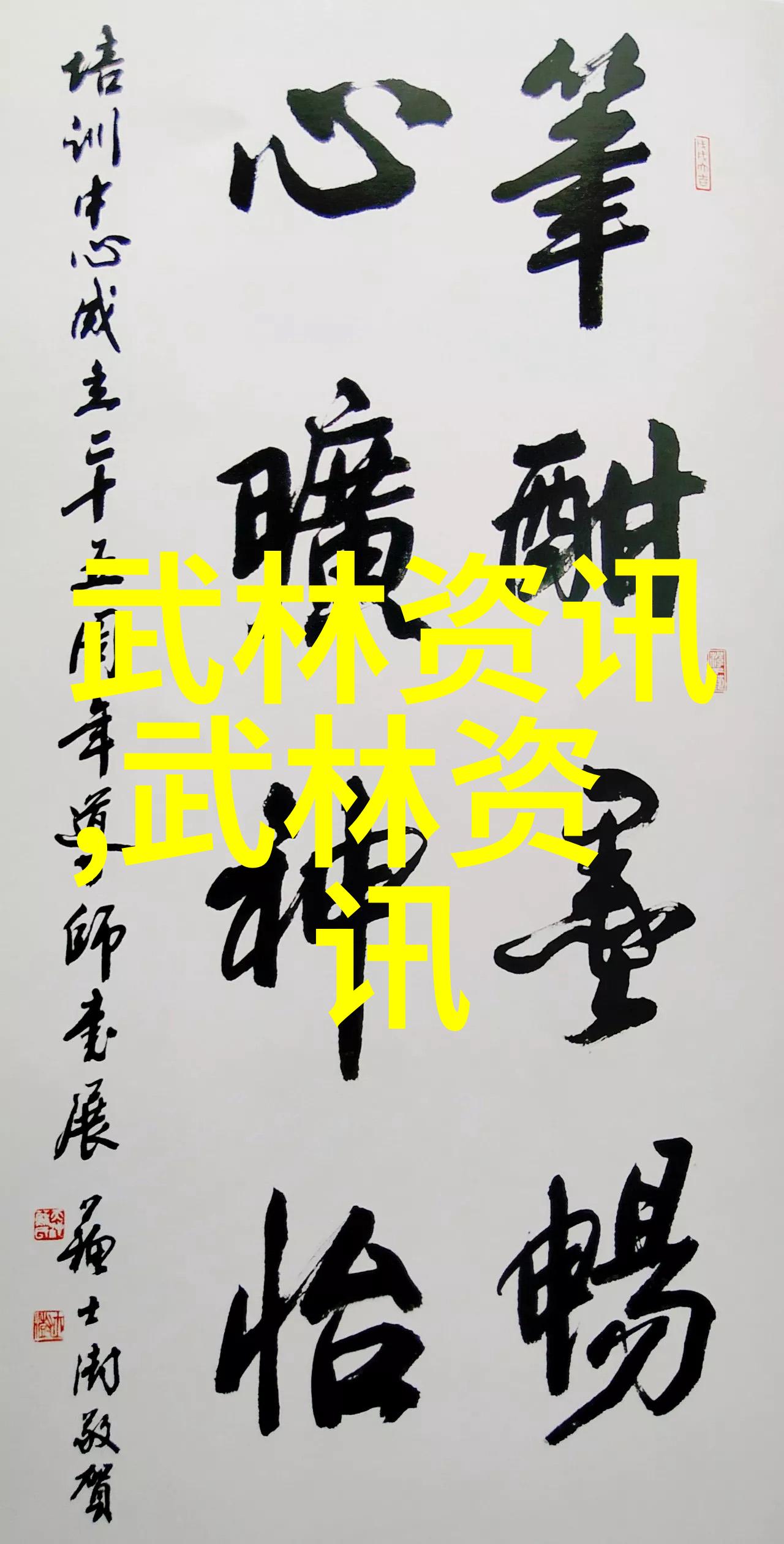 武林十大门派的秘密之器佛汉拳