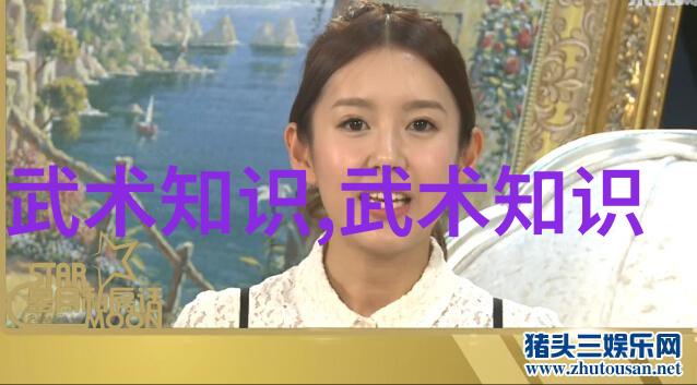 李雅轩太极拳论汇编武学之宝自学之门