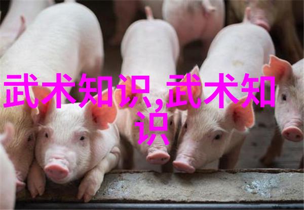 古韵幽梦五言押韵帮派名的艺术探究