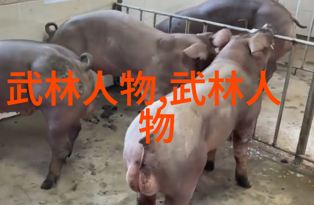 江湖中隐秘的武功之术