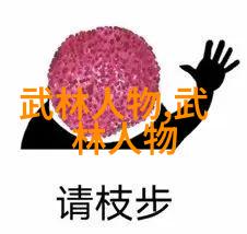 武林绝学神秘少林拳法的巅峰之战
