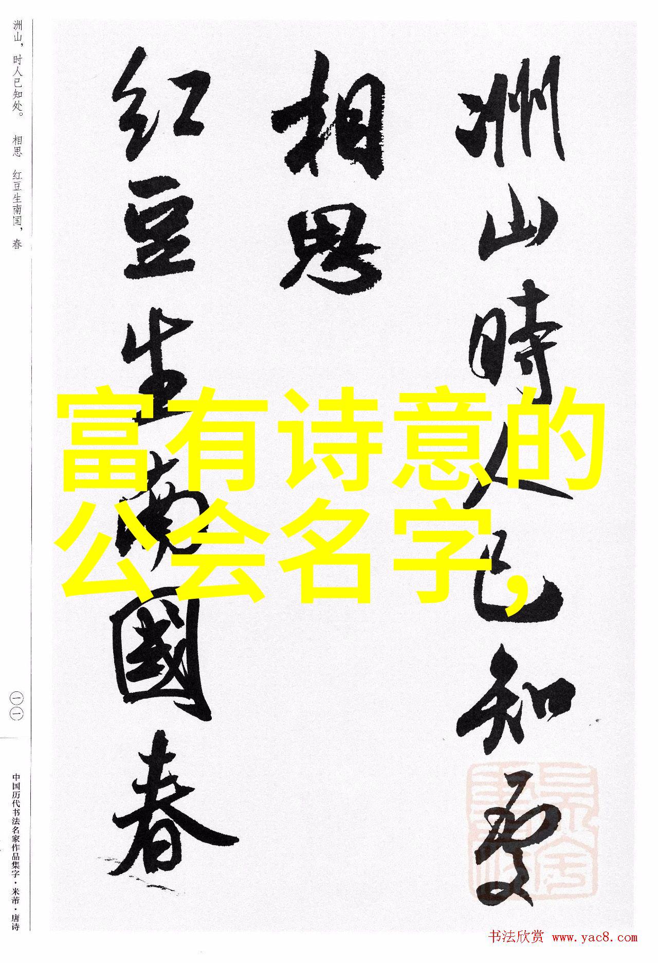 探索中国最有实战性的功夫揭秘武术中的真谛与应用