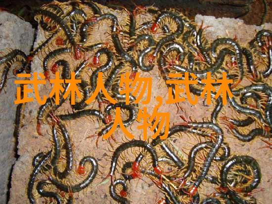 中国武功的精妙之道内涵深厚的传统武术