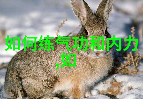 太极拳24式分解动作教学系统学习太极拳的24种基本招式及其精细动作分析