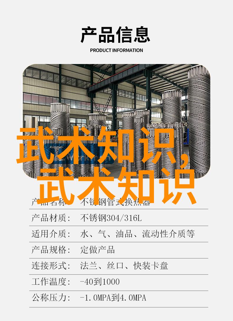 拳刃与笔墨中国武术流派的纷争与和谐
