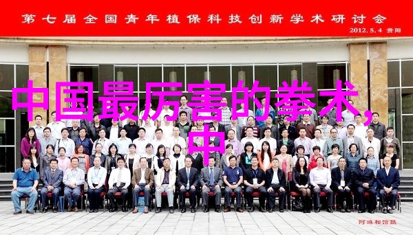 最新拳击比赛视频揭秘维克-达奇尼安的每一拳
