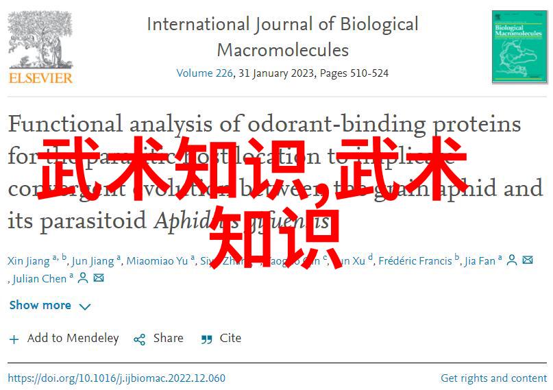 招式与心法深入浅出理解武功秘籍大全