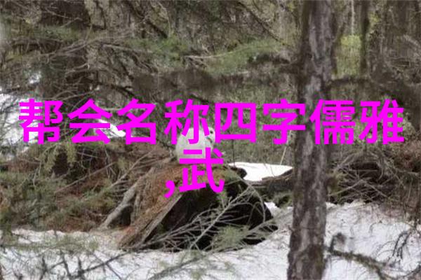 武林至尊中国武术十大拳法的精髓与实用性