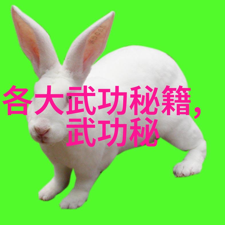 怎么通过共享兴趣和爱好加深夫妻感情