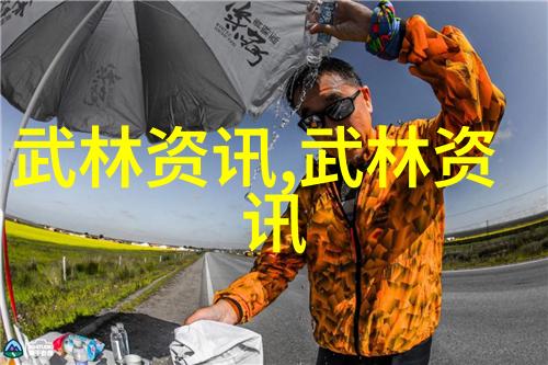 武术源流揭秘中国武功秘籍的宝藏之书